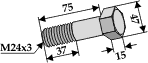 Spearhead bolt M24x3x75 mm