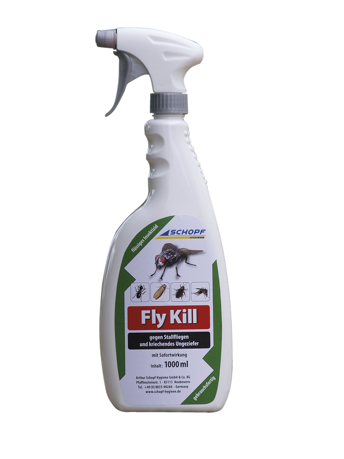 Fly Kill 