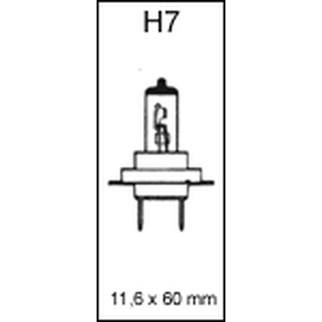 Forlygte pære H7 12 volt 55 watt PX26D Long Life